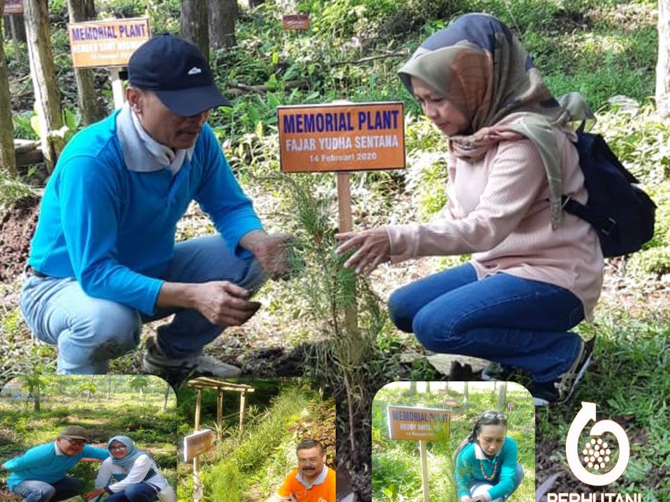 Perhutani Perhutani Bersama Pengunjung Tanam Pohon Kenangan Memorial