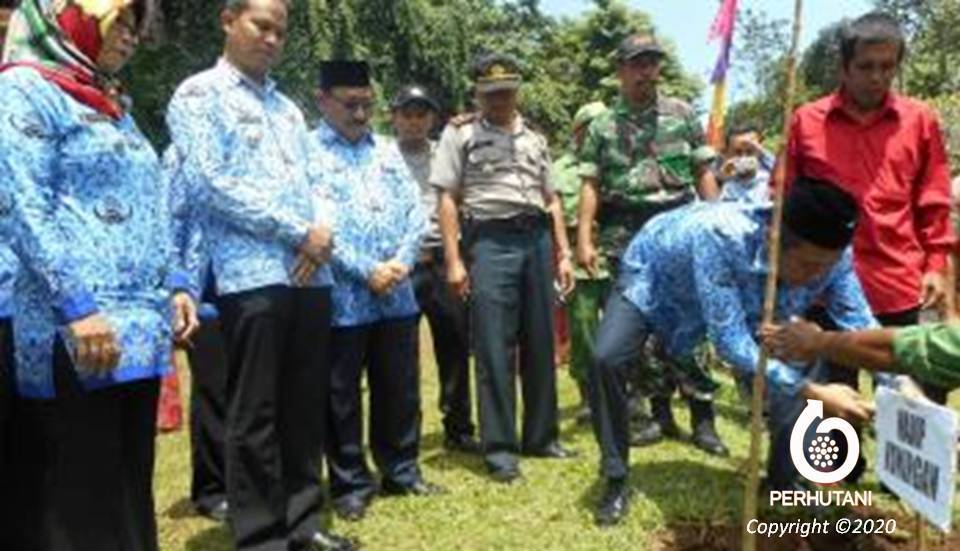 Perhutani Wujudkan Kabupaten Konservasi Perhutani Dan Pemerintah