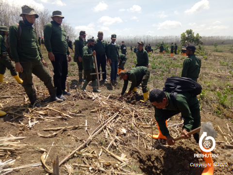 Perhutani Jelang Musim Tanam Perhutani Beri Pelatihan Pembuatan