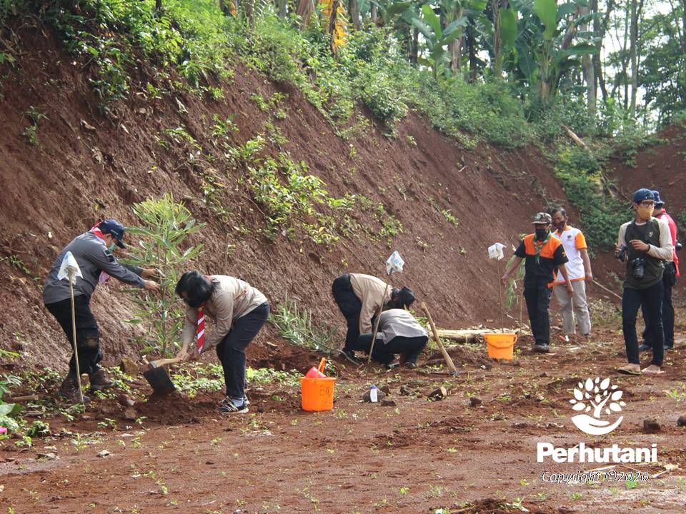 Perhutani Perhutani Bersama Dinas Lingkungan Hidup Dan Kehutanan Ajak