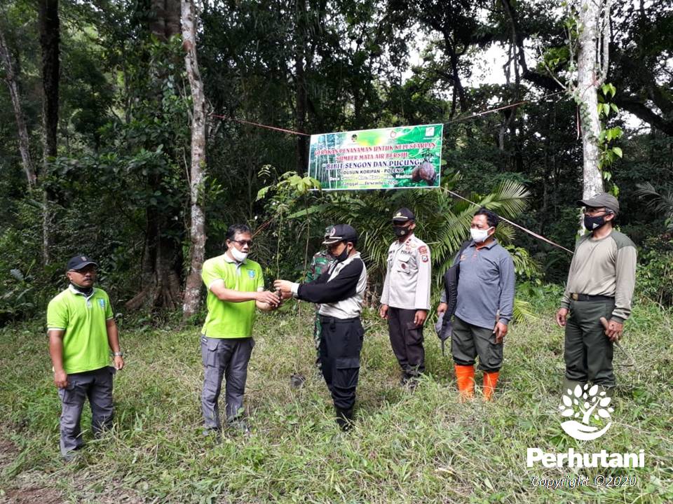 Perhutani Perhutani Bersama Cdk Madiun Tanam Bibit Pohon Di