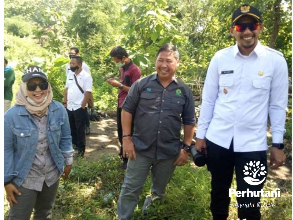 Perhutani Perhutani Wabup Kuningan Dan Gema Jabar Hejo Tanam Ribuan