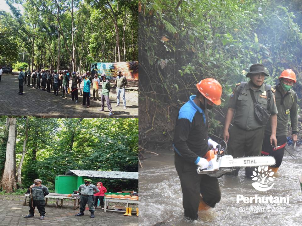 Perhutani Perhutani Bersama BPBD Banyuwangi Adakan Mitigasi Bencana