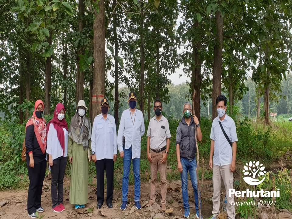 Perhutani Perhutani Forestry Institute Dan Kementerian LHK Jalin