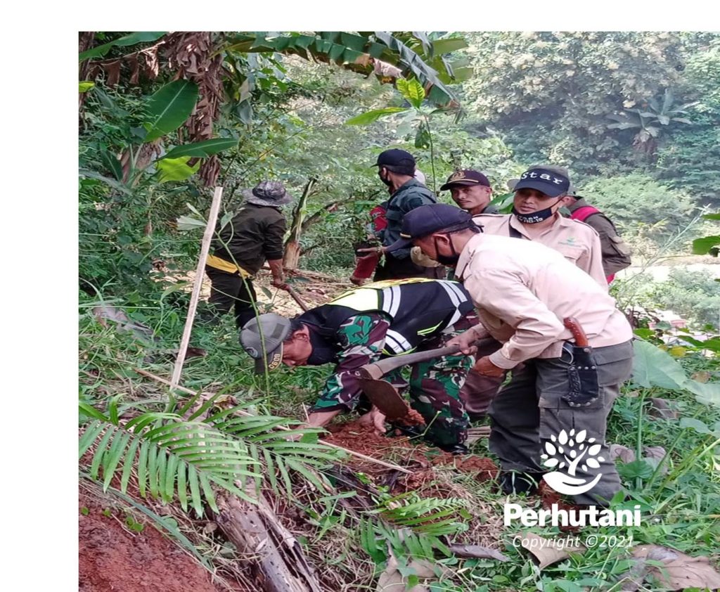 Perhutani Perhutani Bersama Stakeholder Gelar Aksi Tanam Pohon Di Bandung