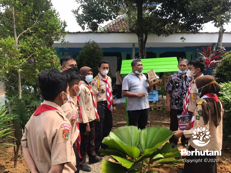 Perhutani Perhutani Dukung Saka Wana Bakti Praktek Budidaya Perlebahan