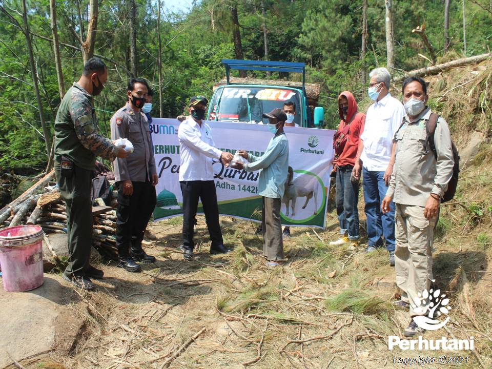 Perhutani Idul Adha 1442 H Perhutani Distribusikan Daging Kurban Pada