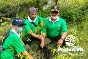 Perhutani Perhutani Bersama Pondok Genggong Probolinggo Tanam