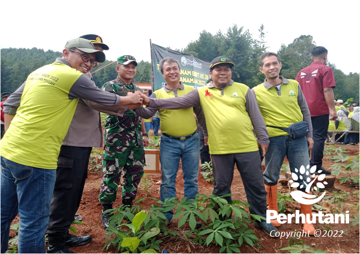 Perhutani Perhutani Bersama Stakeholder Tanam Bersama Di Pekalongan