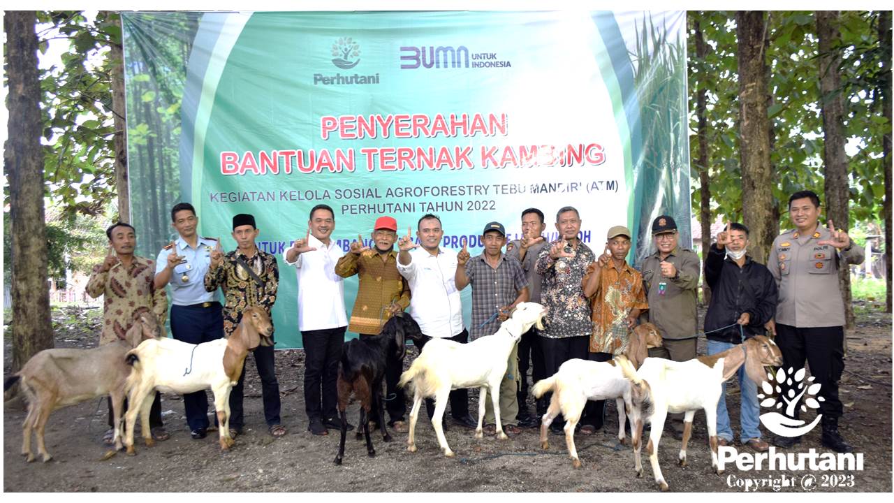 Perhutani Perhutani Pemkab Jombang Berikan Bantuan Ternak Kambing