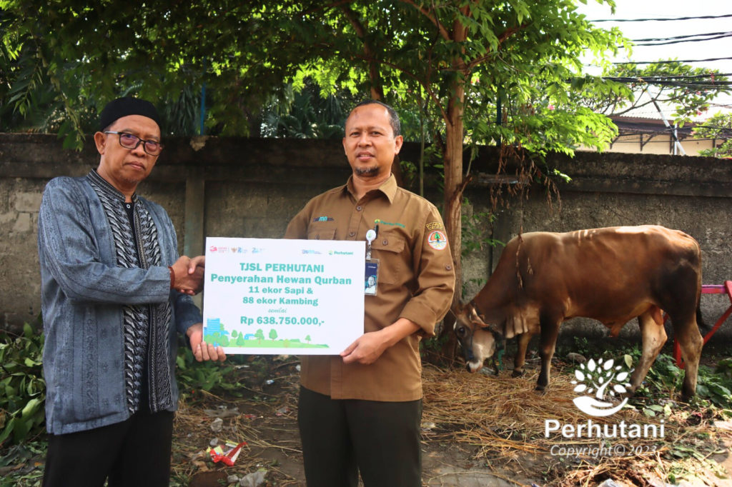 Perhutani Sambut Idul Adha H Perhutani Salurkan Bantuan Hewan