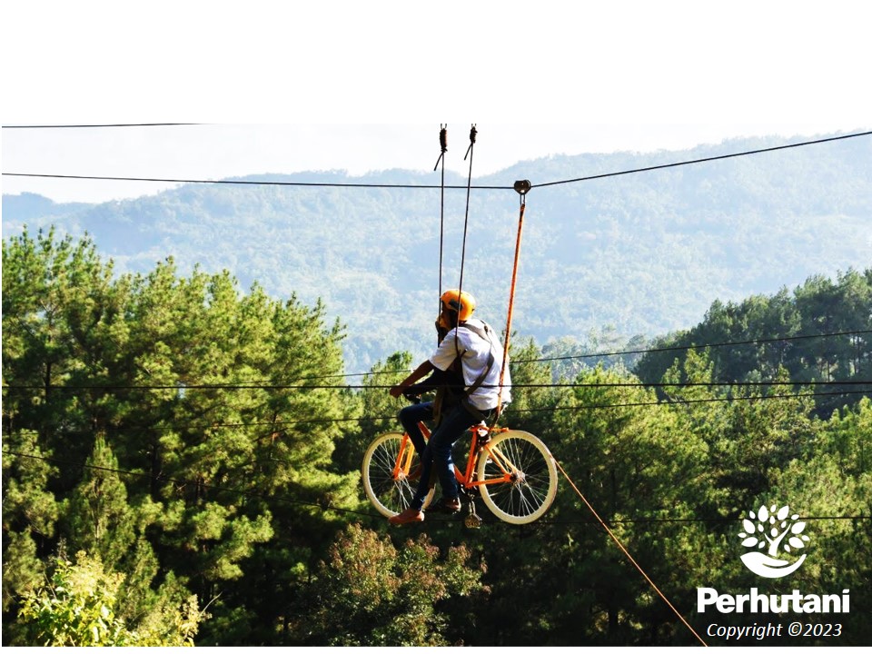 Perhutani Brujul Adventure Wisata Petualangan Uji Adrenalin Di Kawasan