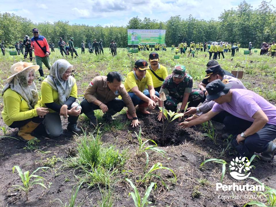 Perhutani Perhutani Banyuwangi Selatan Dan Stakeholder Tanam Ribuan