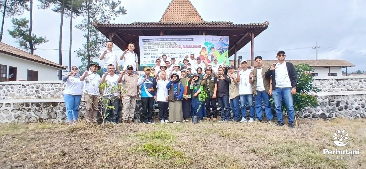 Perhutani Perhutani Probolinggo Bersama Pemkab Lumajang Dan Stakeholder