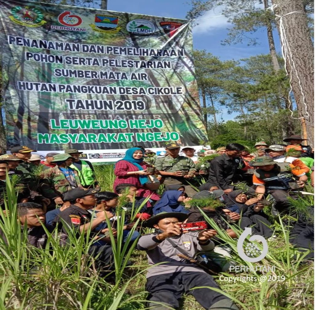 Perhutani Perhutani Bersama LMDH Giri Makmur Tanam Ribuan Bibit Pohon ...