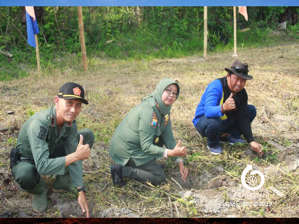 Perhutani Peringati Hut Korps Polhutmob Perhutani Bersama Stakeholder