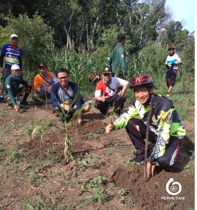 Perhutani Usai 'Gowes' Perhutani Lakukan Tanam Bibit Kayu Putih Bersama ...