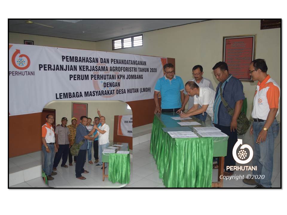 Perhutani Perhutani Lakukan Kerjasama Agroforestry Dengan Lmdh Di Jombang