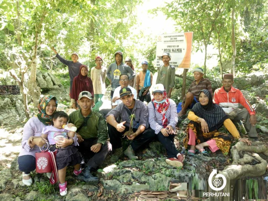 Perhutani Perhutani Dengan Lmdh Wana Jaya Kerjasama Tanam Porang Di Pulau Kangean Barat Madura 0152