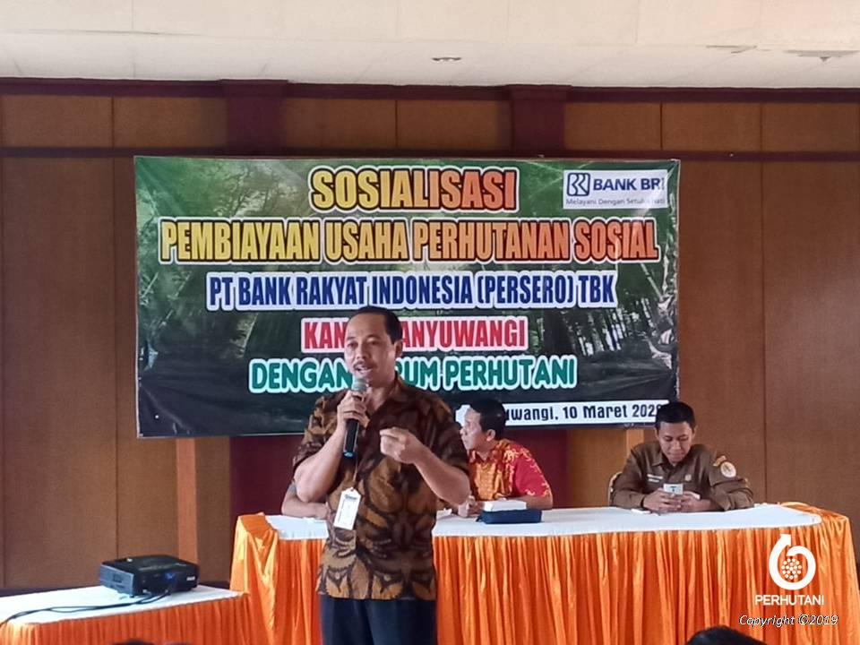 Perhutani Perhutani Fasilitasi Bank Bri Sosialisasi Pembiayaan Usaha Untuk Lmdh Di Banyuwangi 0982