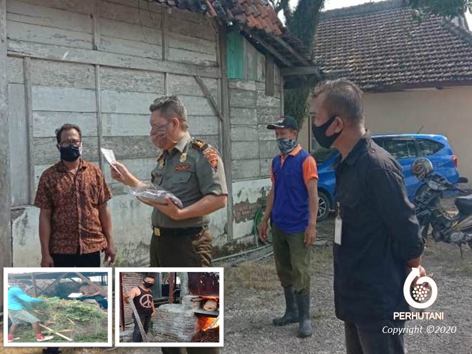 Perhutani Perhutani Dan Lmdh Kelestarian Hutan Lakukan Cooking Test Daun Kayu Putih Di Saradan