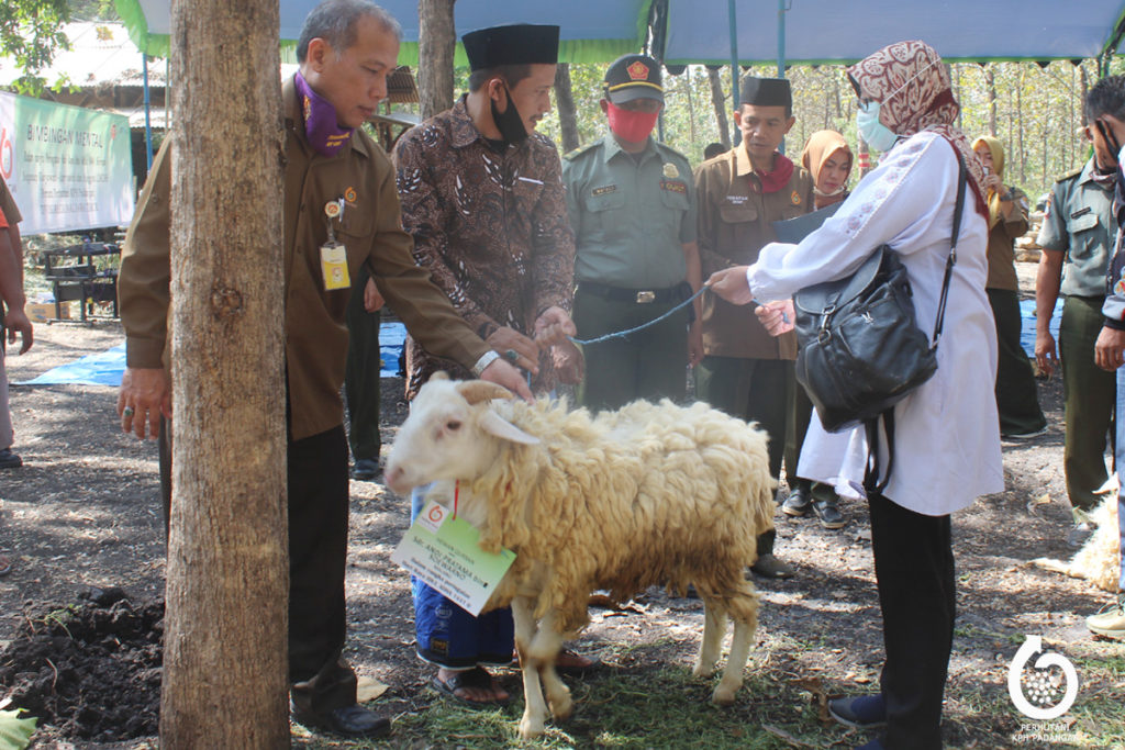 Perhutani Perhutani Adakan Bimbingan Mental Dan Potong Hewan Qurban Di Padangan Perhutani