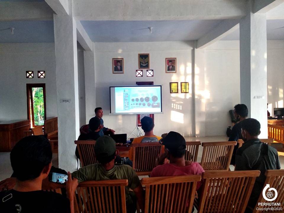 Perhutani Perhutani Bantu LMDH Bayangkaki Budidaya Porang Di Madiun