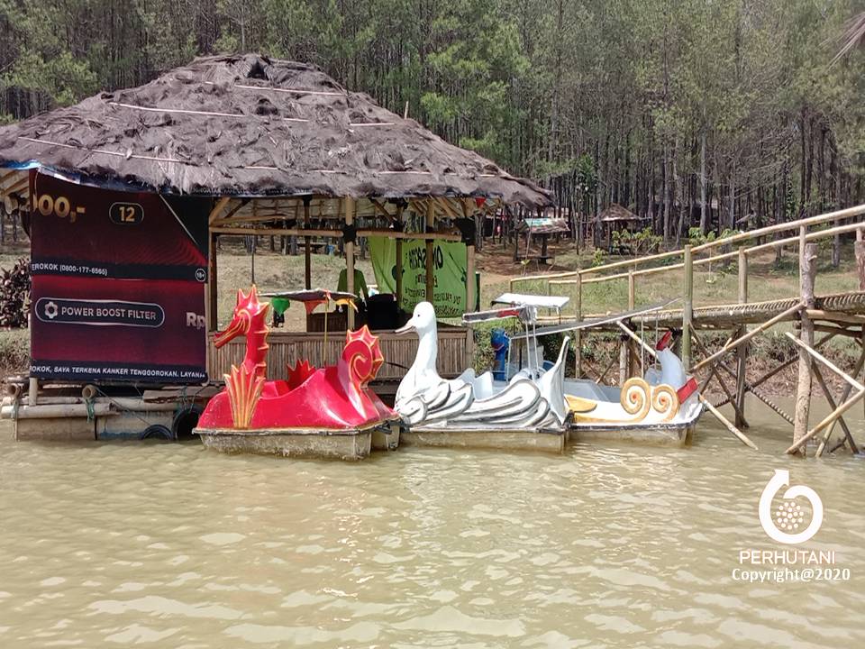 Perhutani Banyak Dikunjungi Wisatawan Wisata Alam Situ Dewa Dewi Berbenah 9572