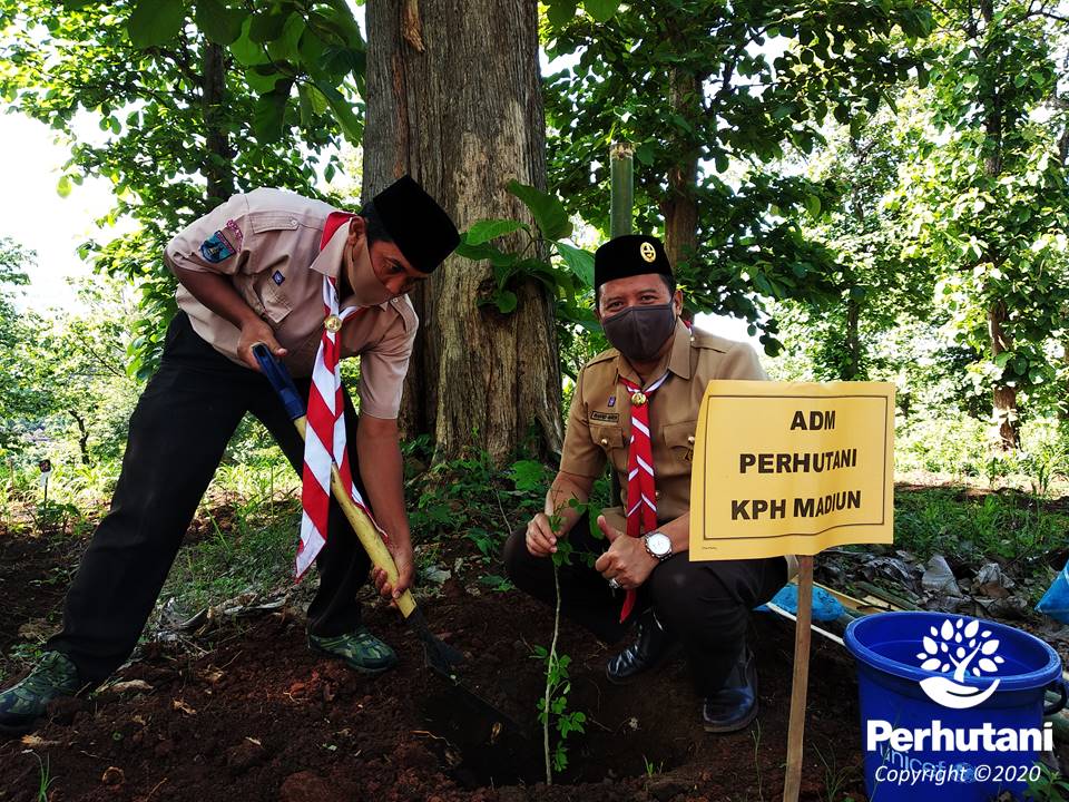 Perhutani Saka Wanabakti Perhutani Madiun Hijaukan Bumi Perkemahan Kresek Di Madiun 4064