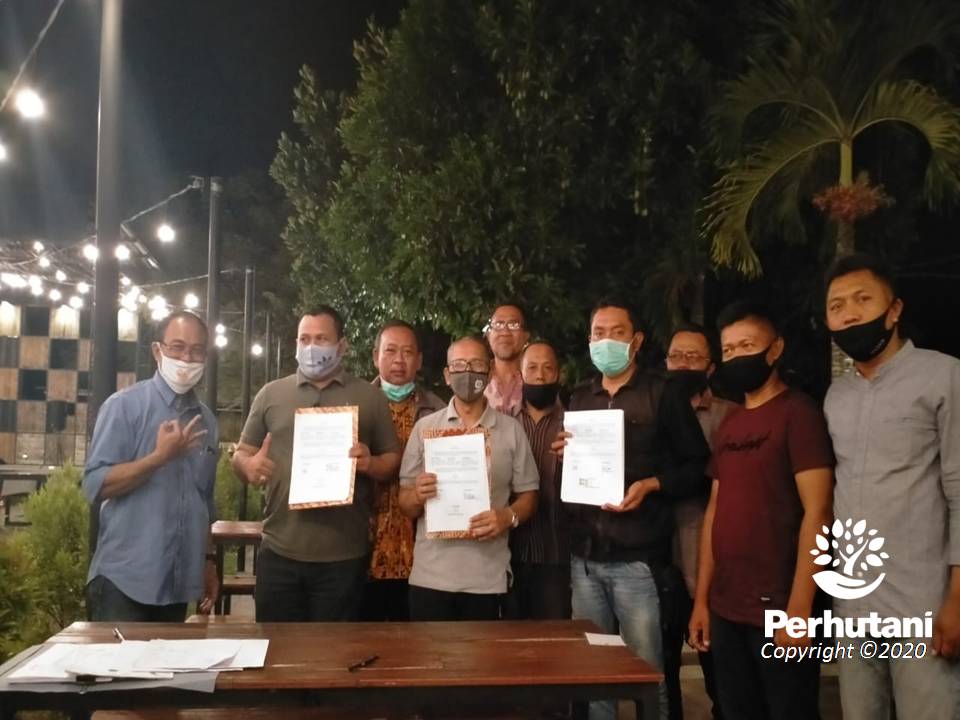 Perhutani Perhutani Lmdh Dan Cv Langgeng Trans Jaya Kerjasama Tanam Alpukat Di Banyuwangi 4283