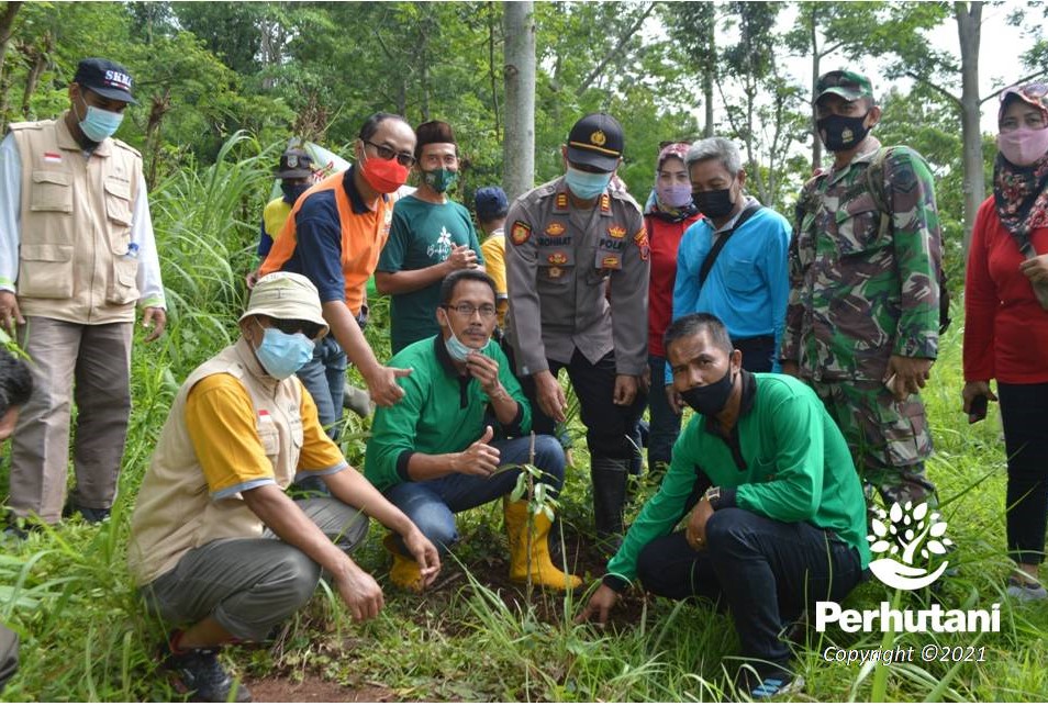 Perhutani Perhutani Dan Stakeholder Gelar Penanaman Bersama Di Rembang ...