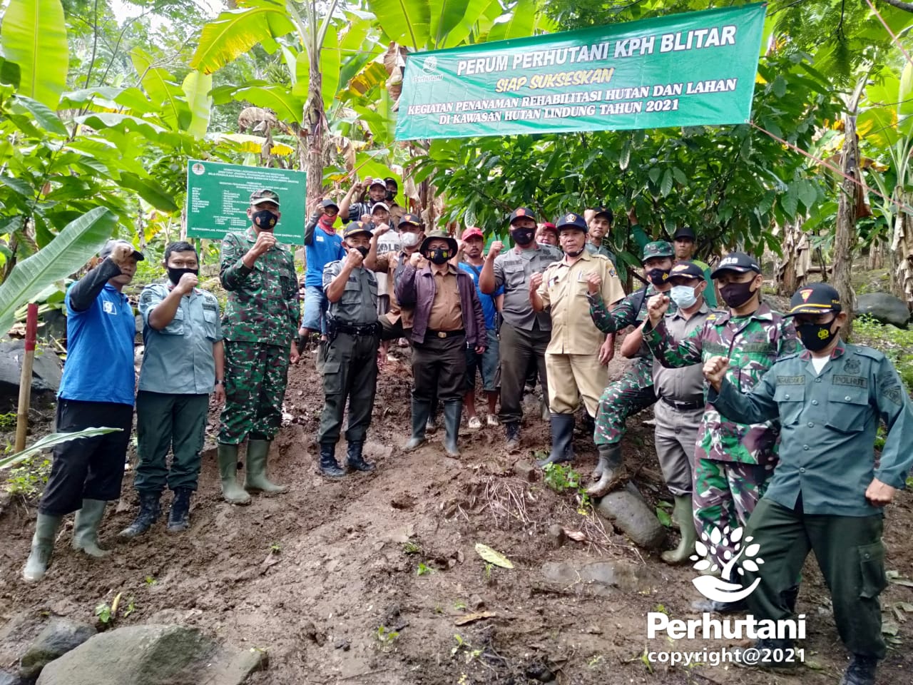 Perhutani Perhutani Bersama Koramil Wates Blitar Tanam Pohon Di Kawasan Hutan Lindung