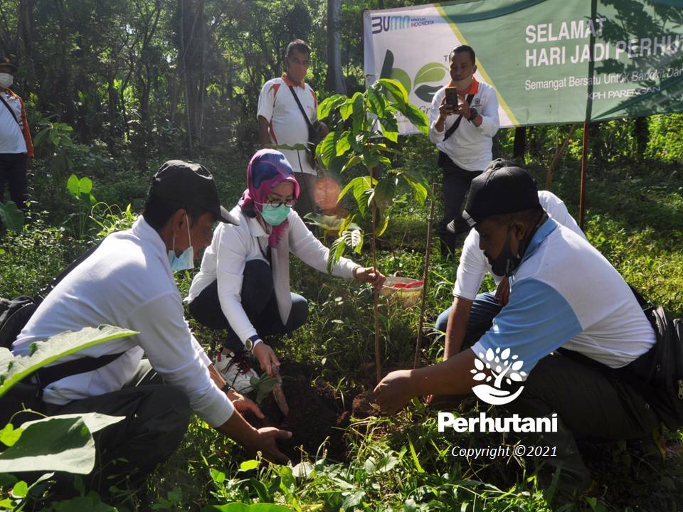 Perhutani Perhutani Bersama Lmdh Wono Mulyo Tanam 1000 Pohon Di Parengan Perhutani 5780