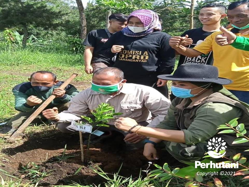 Perhutani Hari Bhakti Rimbawan Perhutani Bersama Anggota DPR RI Menanam Bersama Di Gunung Lawu