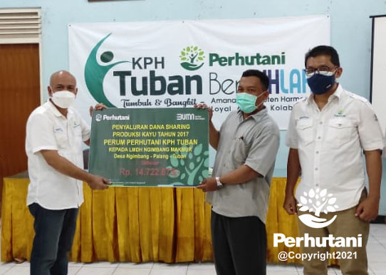 Perhutani Perhutani Serahkan Dana Sharing Produksi Kayu Rp 237 Juta Kepada Lmdh Di Tuban 9630