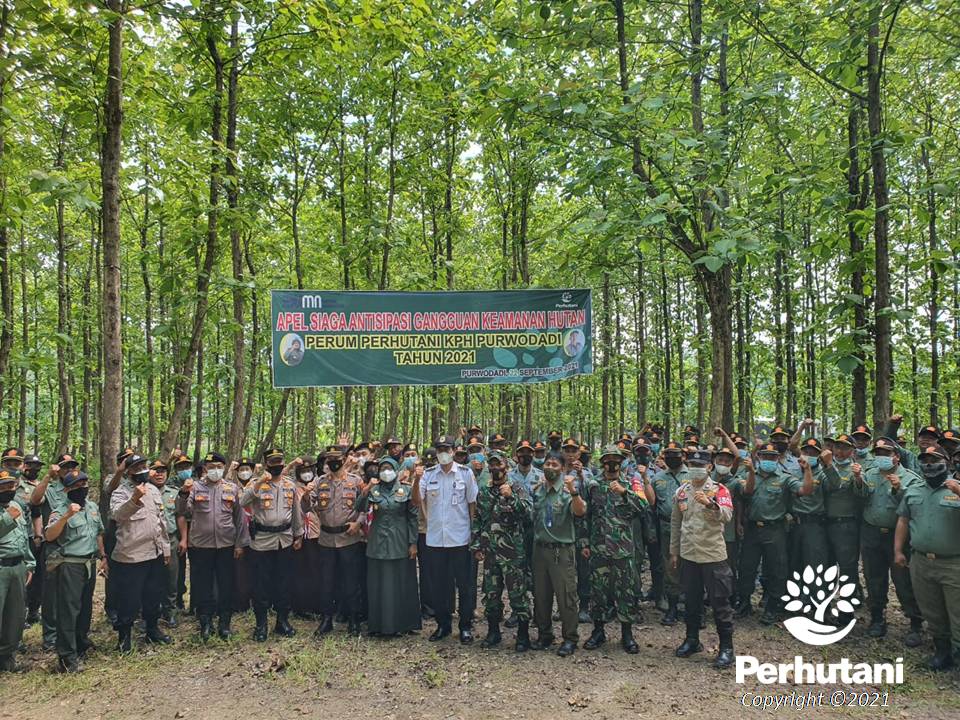 Perhutani Perhutani Bersama Stakeholder Gelar Apel Siaga Antisipasi Gukamhut Di Grobogan 1624