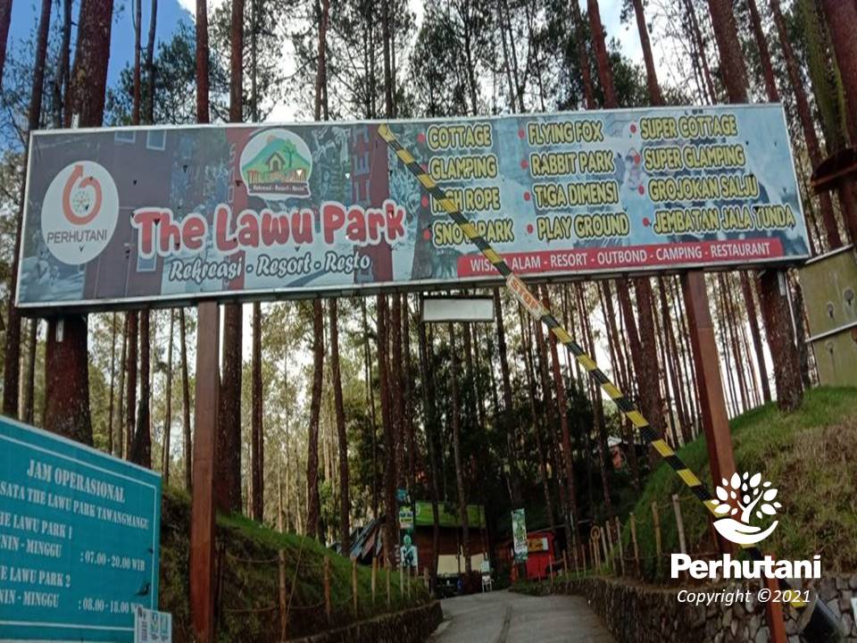 Perhutani Wisata Lawu Park Perhutani Jadi Pilot Project Penerapan Aplikasi Peduli Lindungi Di 3321