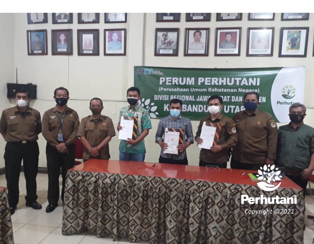 Perhutani Perhutani Bersama Mitra Kerja Tandatangani Pks Budidaya Tanaman Kopi Di Cisalak 5775