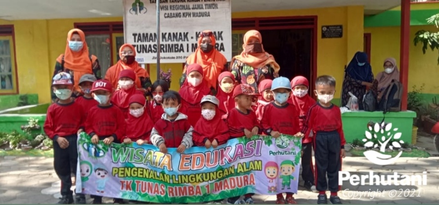 Perhutani Perhutani Kenalkan Lingkungan Kepada Siswa Tk Tunas Rimba Di Pamekasan Perhutani