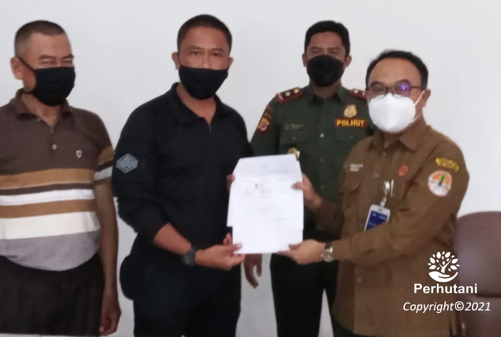 Perhutani Perhutani Tandatangani Pks Pengelolaan Kawasan Hutan Bersama Mitra Usaha Di Bogor