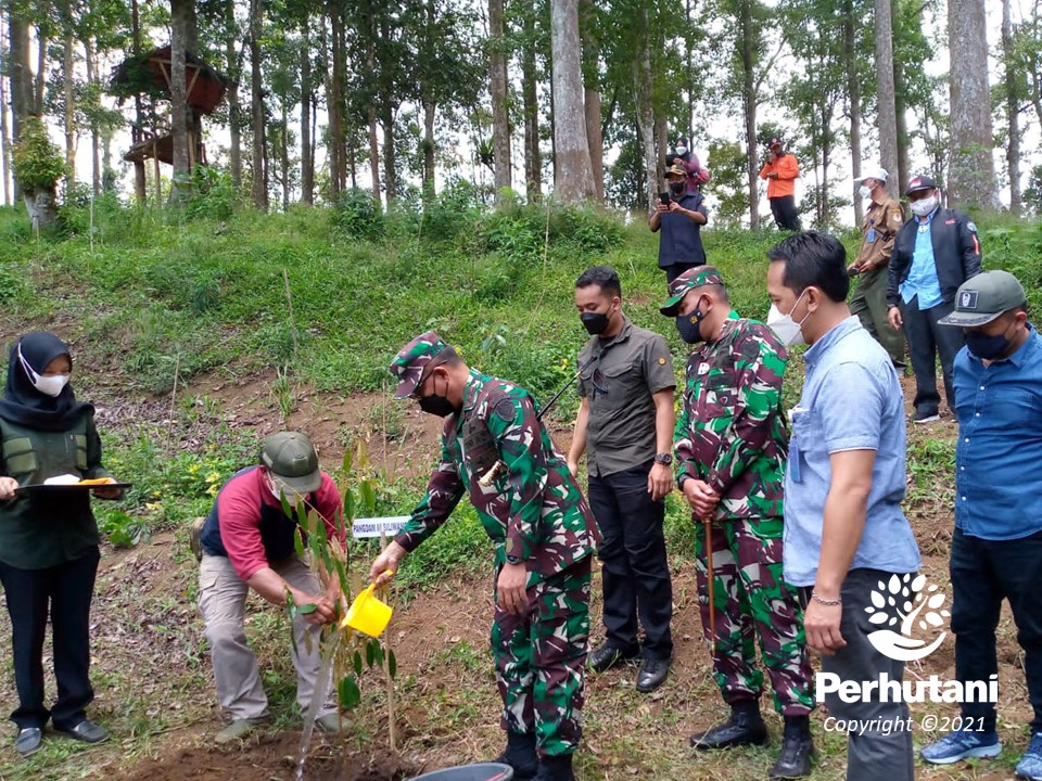 Perhutani Perhutani Bersama Stakeholder Lakukan Penanaman Di Sukabumi