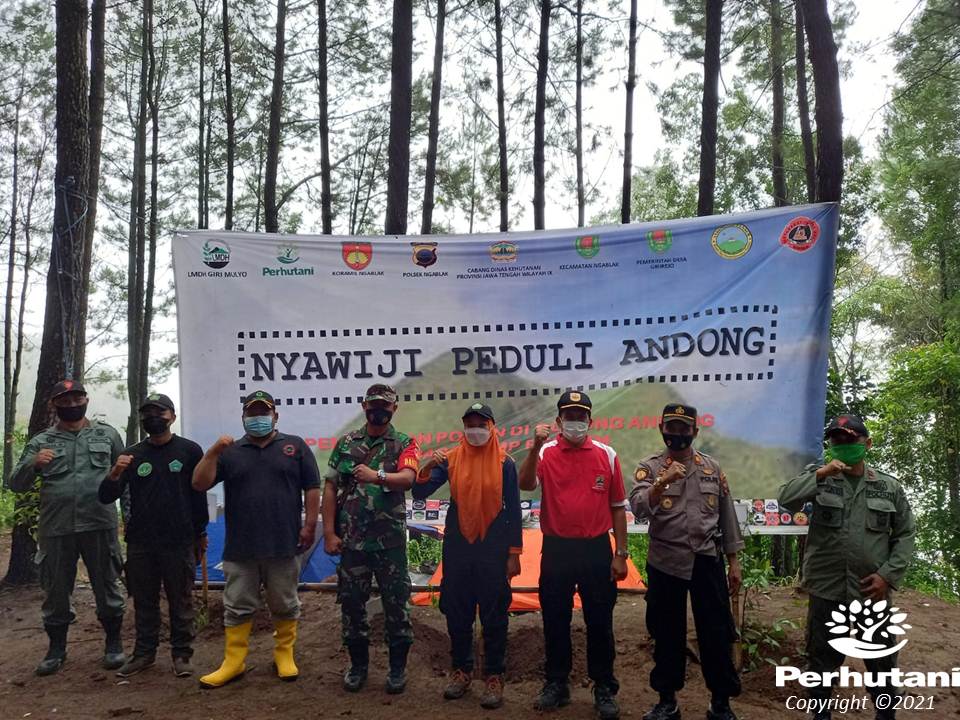 Perhutani Semarakan HMPI Perhutani Gelar Penanaman Bersama Stakeholder Di Gunung Andong