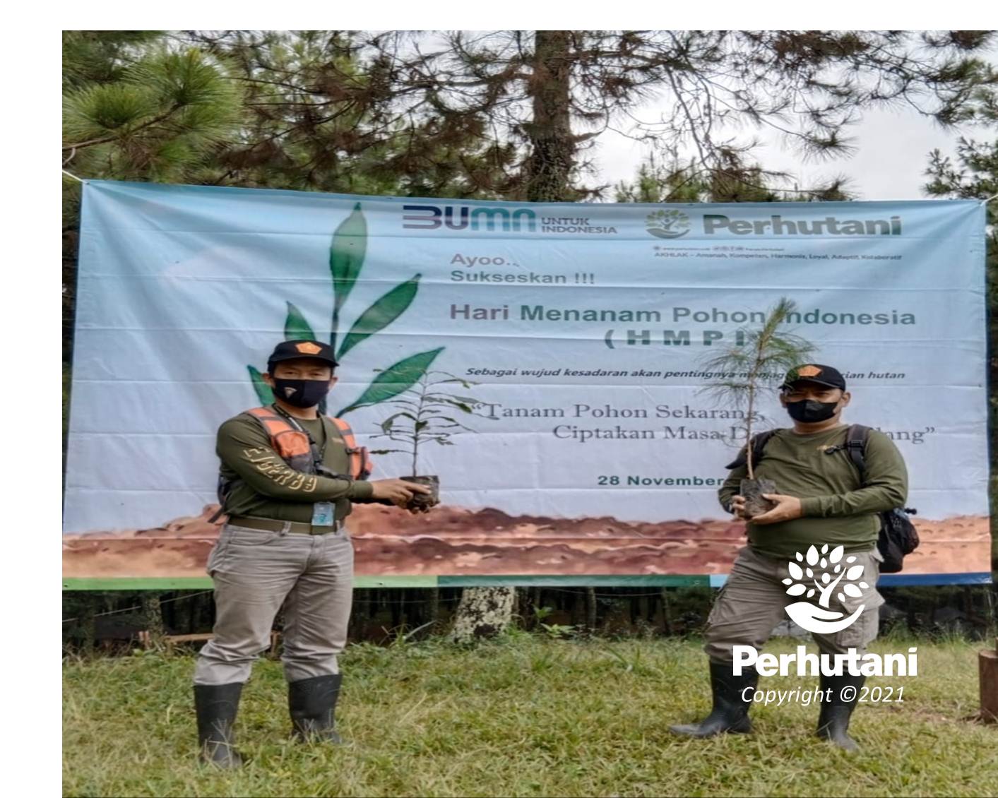 Perhutani Peringati Hmpi Perhutani Bersama Lmdh Lakukan Penanaman Di Wisata Pasir Angling 9126