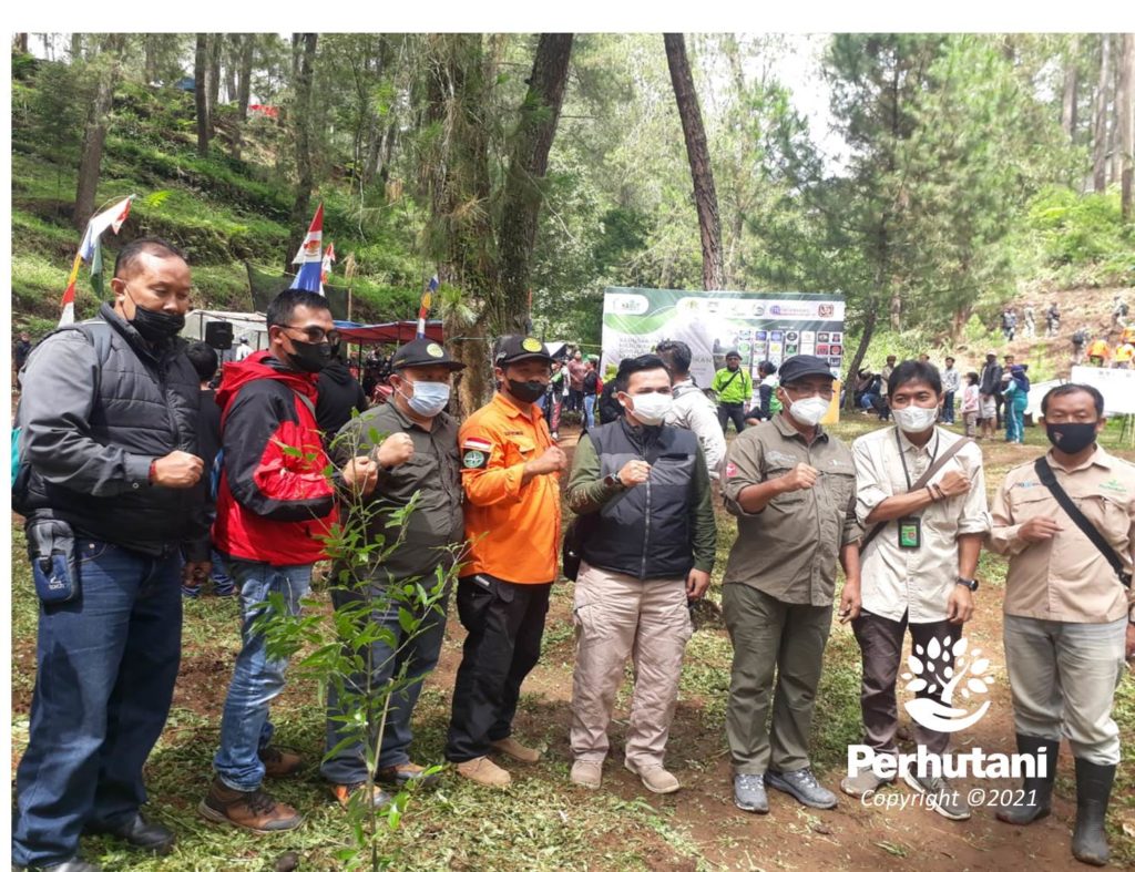 Perhutani Perhutani Bandung Utara Bersama Stakeholder Lakukan Penanaman Pohon Di Kawasan Hutan