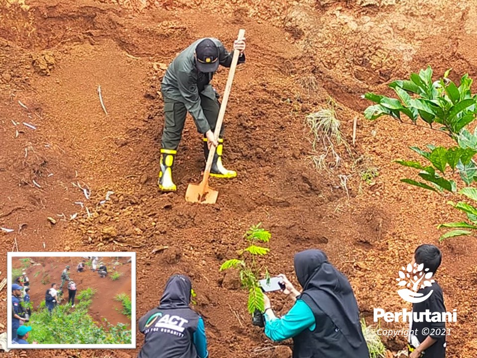 Perhutani Perhutani Bersama Stakeholder Peringati Hcps Dan Menanam Pohon Nusantara Di Sukabumi