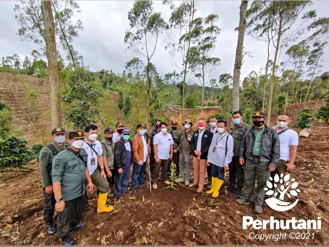 Perhutani Perhutani Garut Gelar Penanaman Bersama Masyarakat Peduli Hutan Dan Lingkungan