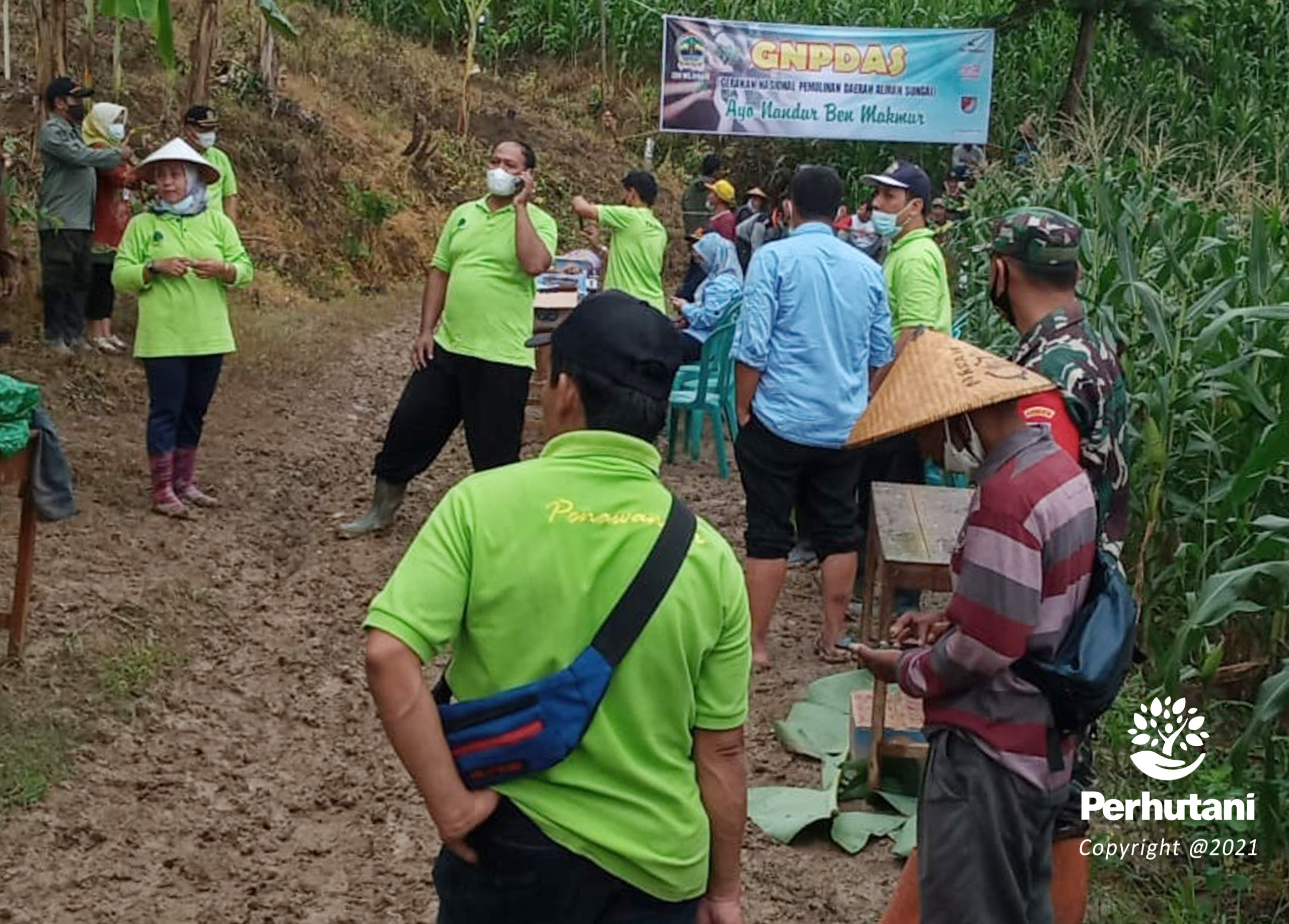 Perhutani Perhutani Lakukan Penanaman Bersama Stakeholder Di Pringapus Semarang Perhutani