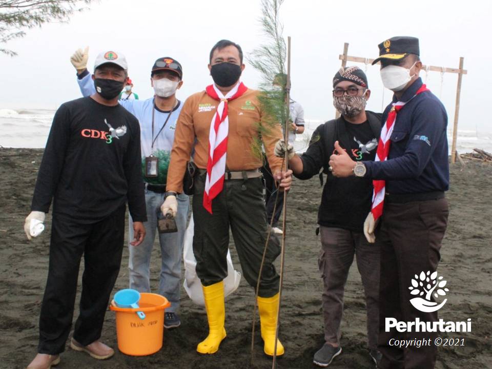 Perhutani Perhutani Dan Dinas Lhk Jateng Gelar Penanaman Pohon Di Pantai Tirang Perhutani