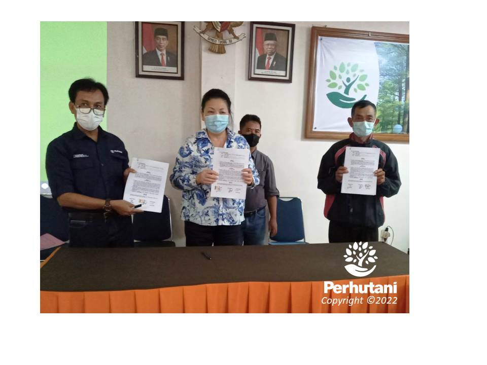 Perhutani Perhutani Bersama Pt Gistec Prima Dan Lmdh Ciloto Hijau Tanda Tangani Kerjasama