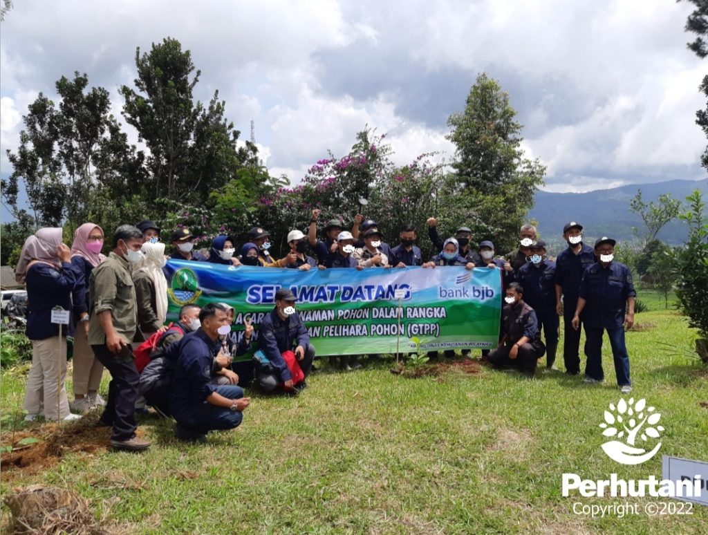 Perhutani Perhutani Garut Bersama Cdk V Gelar Gerakan Tanam Pelihara Pohon